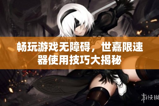 畅玩游戏无障碍，世嘉限速器使用技巧大揭秘