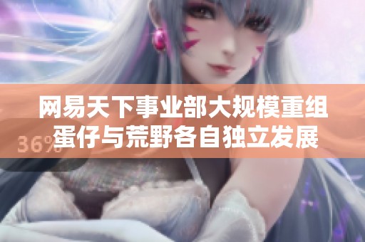 网易天下事业部大规模重组 蛋仔与荒野各自独立发展新篇章