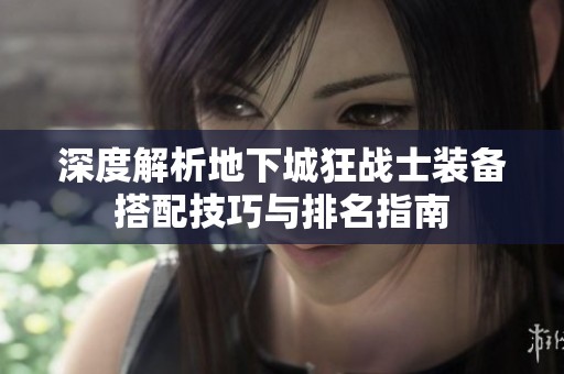 深度解析地下城狂战士装备搭配技巧与排名指南