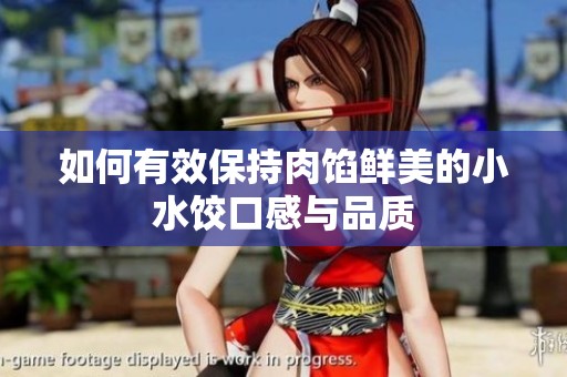 如何有效保持肉馅鲜美的小水饺口感与品质