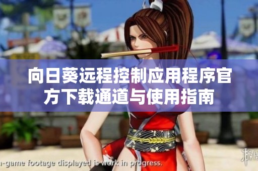 向日葵远程控制应用程序官方下载通道与使用指南