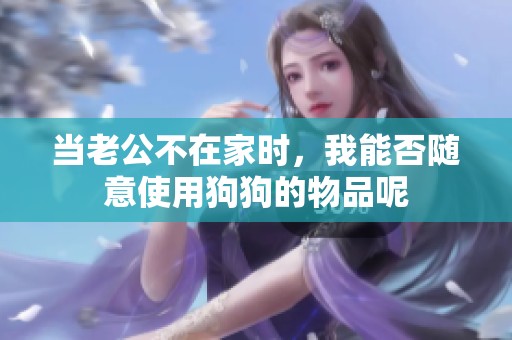 当老公不在家时，我能否随意使用狗狗的物品呢