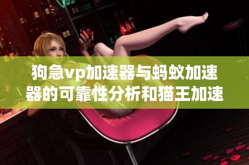 狗急vp加速器与蚂蚁加速器的可靠性分析和猫王加速器评测