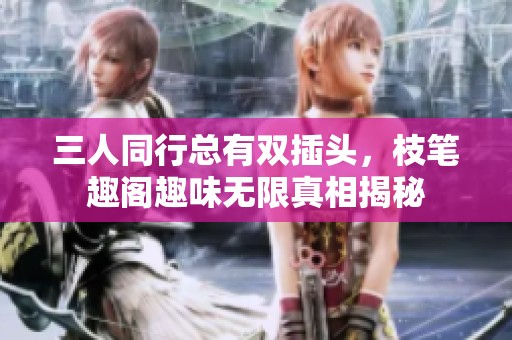 三人同行总有双插头，枝笔趣阁趣味无限真相揭秘