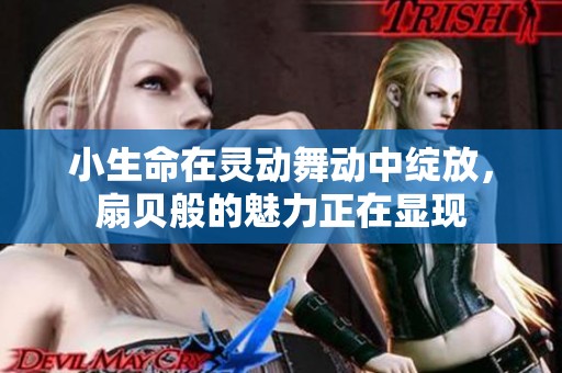 小生命在灵动舞动中绽放，扇贝般的魅力正在显现