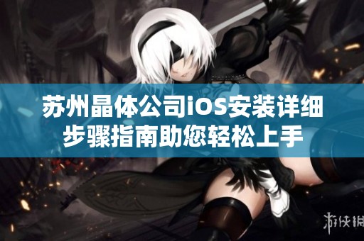 苏州晶体公司iOS安装详细步骤指南助您轻松上手