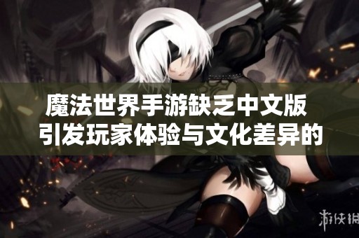 魔法世界手游缺乏中文版 引发玩家体验与文化差异的讨论
