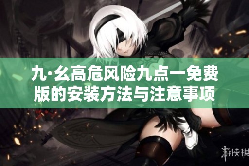 九·幺高危风险九点一免费版的安装方法与注意事项
