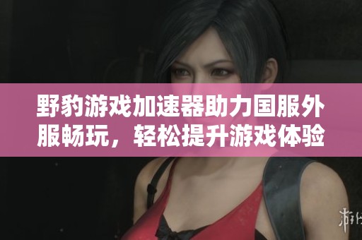 野豹游戏加速器助力国服外服畅玩，轻松提升游戏体验