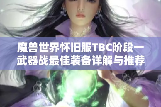 魔兽世界怀旧服TBC阶段一武器战最佳装备详解与推荐