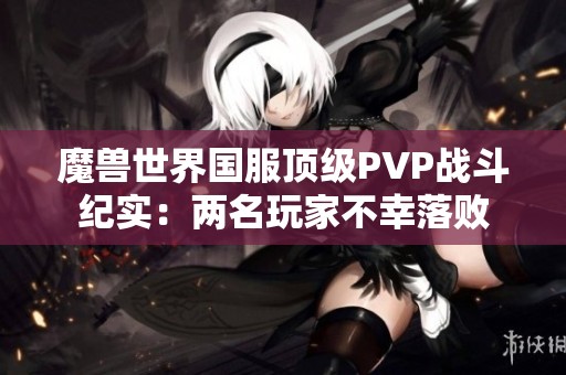 魔兽世界国服顶级PVP战斗纪实：两名玩家不幸落败