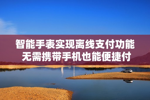 智能手表实现离线支付功能 无需携带手机也能便捷付款