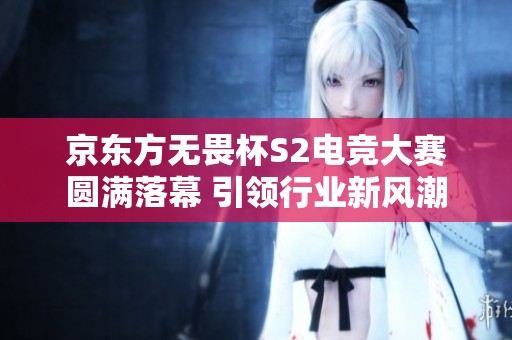 京东方无畏杯S2电竞大赛圆满落幕 引领行业新风潮