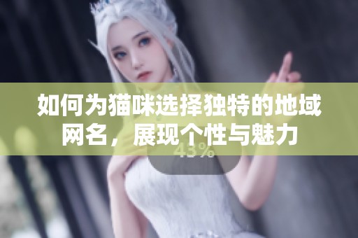 如何为猫咪选择独特的地域网名，展现个性与魅力
