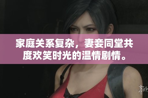 家庭关系复杂，妻妾同堂共度欢笑时光的温情剧情。