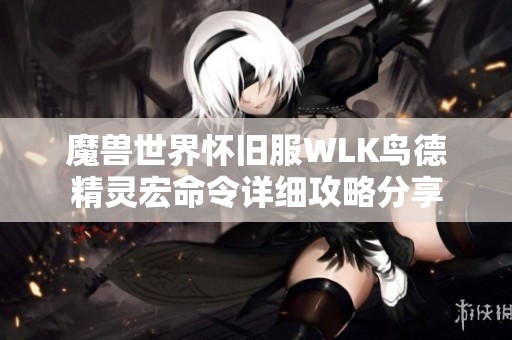 魔兽世界怀旧服WLK鸟德精灵宏命令详细攻略分享