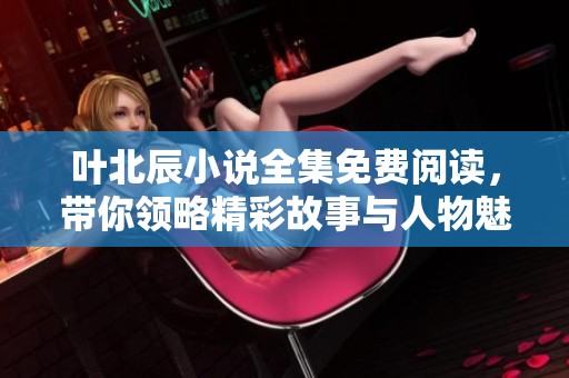 叶北辰小说全集免费阅读，带你领略精彩故事与人物魅力