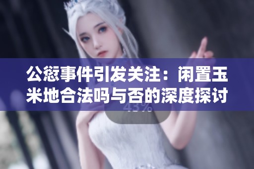 公愆事件引发关注：闲置玉米地合法吗与否的深度探讨