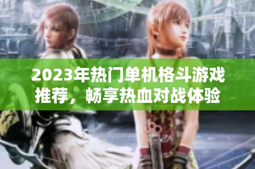 2023年热门单机格斗游戏推荐，畅享热血对战体验