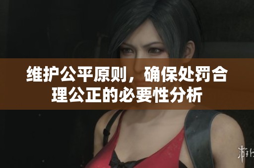 维护公平原则，确保处罚合理公正的必要性分析