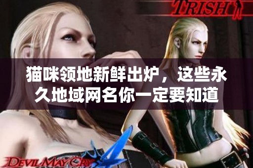 猫咪领地新鲜出炉，这些永久地域网名你一定要知道