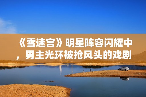 《雪迷宫》明星阵容闪耀中，男主光环被抢风头的戏剧冲突