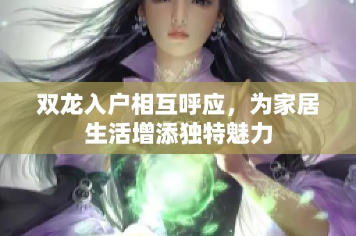双龙入户相互呼应，为家居生活增添独特魅力