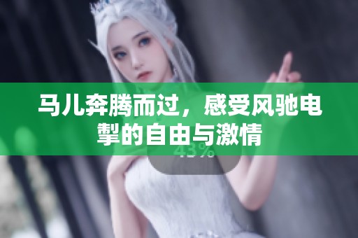 马儿奔腾而过，感受风驰电掣的自由与激情