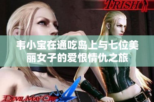 韦小宝在通吃岛上与七位美丽女子的爱恨情仇之旅