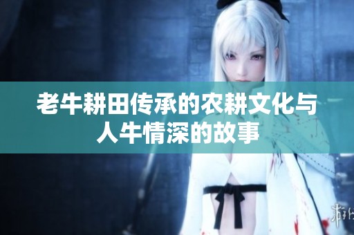 老牛耕田传承的农耕文化与人牛情深的故事