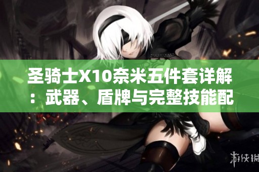 圣骑士X10奈米五件套详解：武器、盾牌与完整技能配置攻略