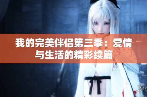 我的完美伴侣第三季：爱情与生活的精彩续篇