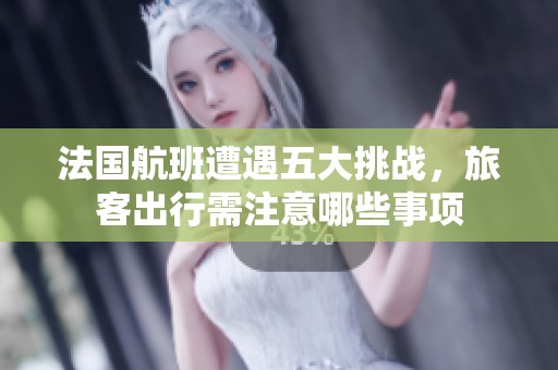 法国航班遭遇五大挑战，旅客出行需注意哪些事项