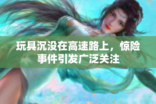 玩具沉没在高速路上，惊险事件引发广泛关注