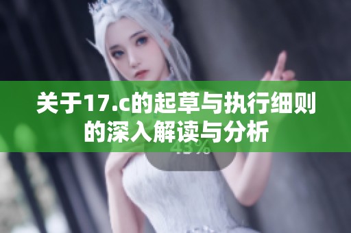 关于17.c的起草与执行细则的深入解读与分析