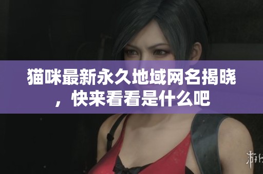 猫咪最新永久地域网名揭晓，快来看看是什么吧