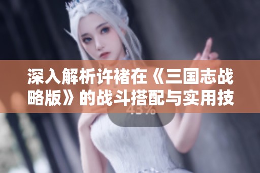 深入解析许褚在《三国志战略版》的战斗搭配与实用技巧