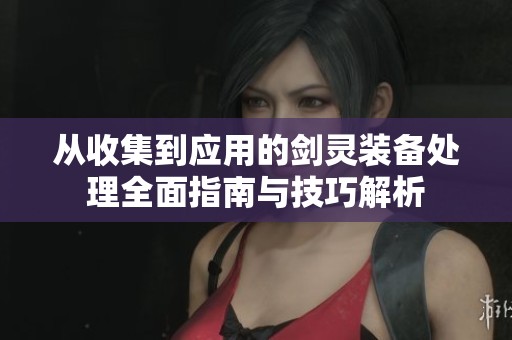 从收集到应用的剑灵装备处理全面指南与技巧解析