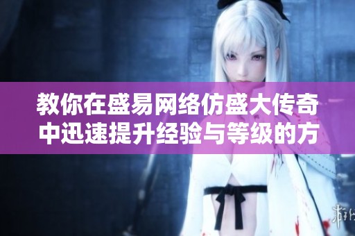 教你在盛易网络仿盛大传奇中迅速提升经验与等级的方法