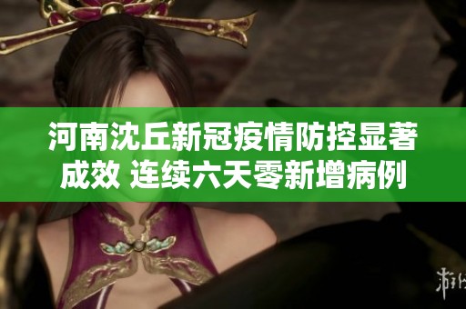 河南沈丘新冠疫情防控显著成效 连续六天零新增病例
