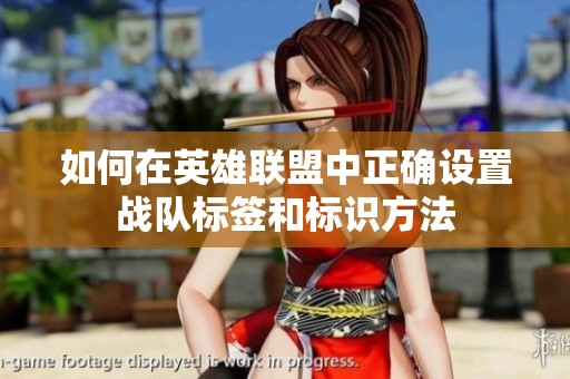 如何在英雄联盟中正确设置战队标签和标识方法