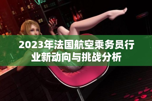 2023年法国航空乘务员行业新动向与挑战分析
