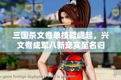 三国杀文鸯单技能崛起，兴文鸯成军八新宠实至名归