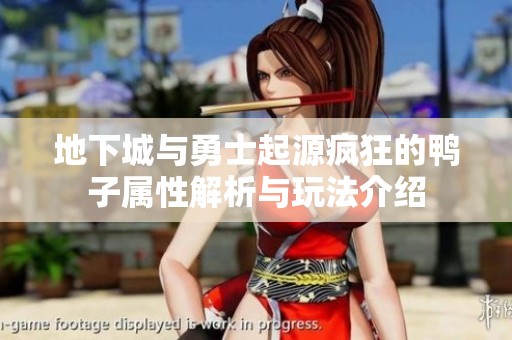 地下城与勇士起源疯狂的鸭子属性解析与玩法介绍