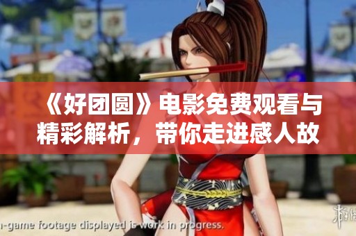 《好团圆》电影免费观看与精彩解析，带你走进感人故事世界