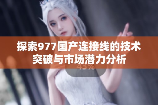 探索977国产连接线的技术突破与市场潜力分析