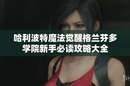 哈利波特魔法觉醒格兰芬多学院新手必读攻略大全