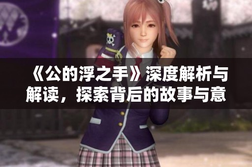 《公的浮之手》深度解析与解读，探索背后的故事与意义