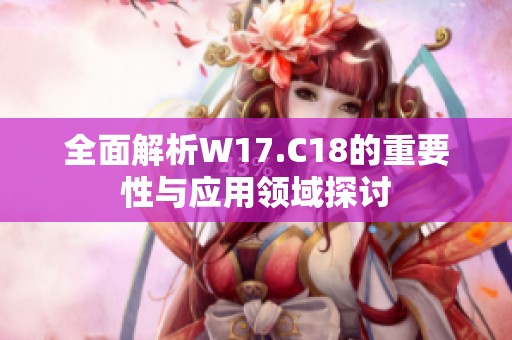 全面解析W17.C18的重要性与应用领域探讨