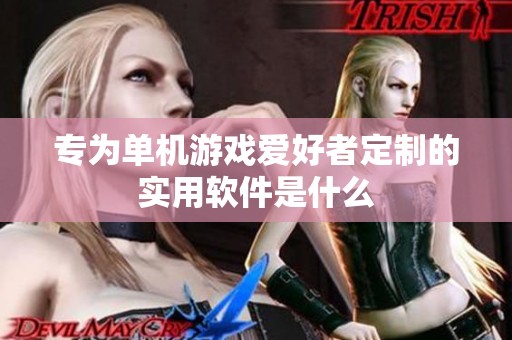 专为单机游戏爱好者定制的实用软件是什么
